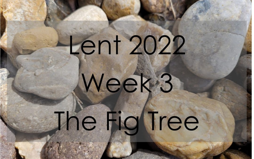 3rd Week of Lent – God’s Mercy Brings Life