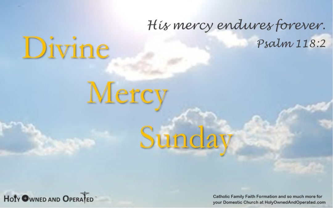 Divine Mercy Sunday – Witness and Bear Fruit