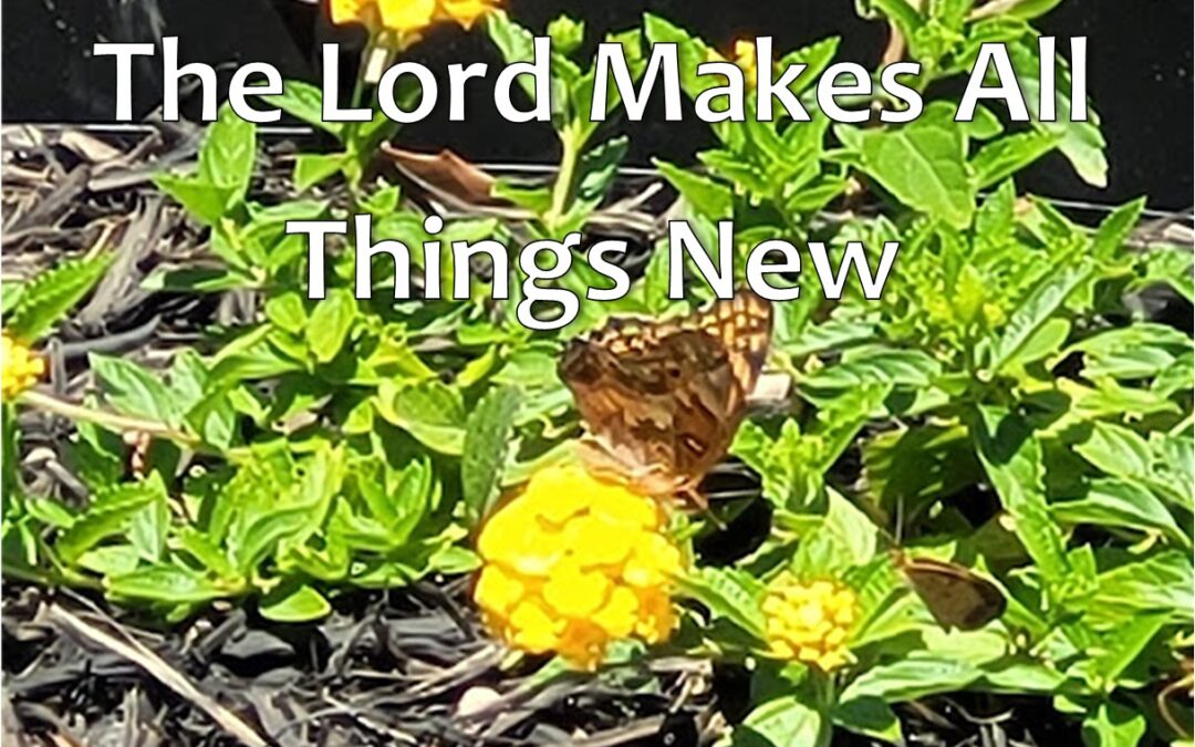Fifth Sunday of Easter – The Lord Makes All Things New