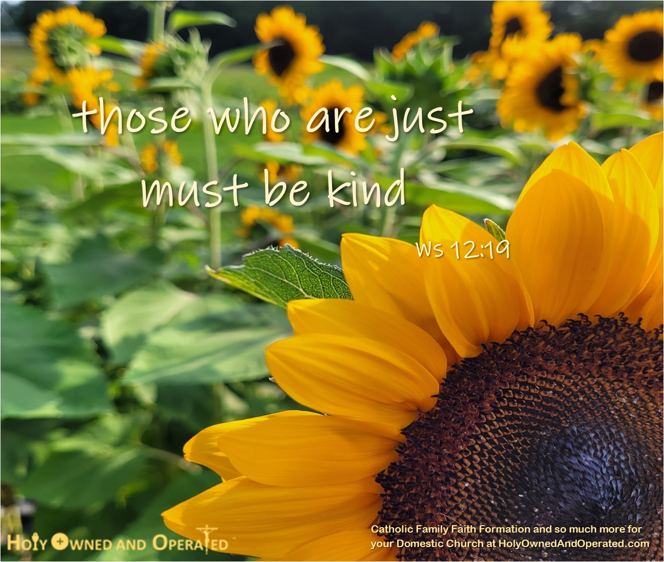 Kind Justice Sunflower field Text overlay Those who are just must be kind. Ws 12:19